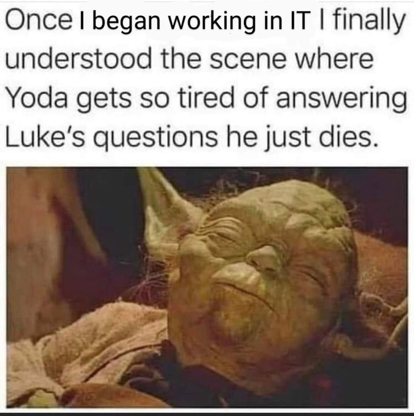 This meme is a humorous take on the classic Star Wars line "I find your lack of faith disturbing" spoken by Darth Vader, but it's reimagined as a frustrated IT worker. The text in the image reads: "I find your lack of IT skills disturbing." The image is likely a picture of a person (perhaps Yoda) with a disappointed or exasperated expression.